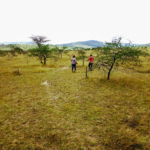 Understanding Land Ownership: A Path to Financial Stability and Security