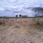 Why Use a Housing Cooperative like Umoja Wendani to Buy Land Rather Than Paying Cash?